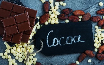 Csokoládétermék gyártó TanfolyamOKJ.hu