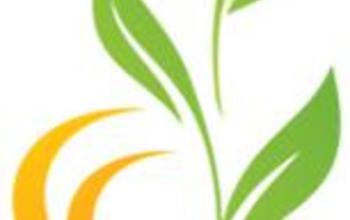 Life Coach (életvezetési tanácsadó) LINEO International Consulting Kft.,